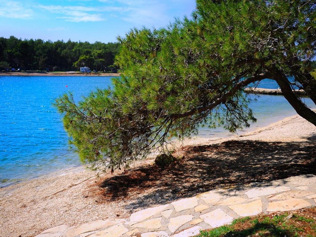 Apartman Eta Appartamento Pola Esterno foto